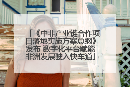 《中非产业链合作项目落地实施方案总纲》发布 数字化平台赋能非洲发展驶入快车道
