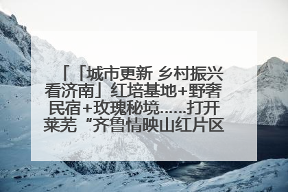 「城市更新 乡村振兴看济南」红培基地+野奢民宿+玫瑰秘境……打开莱芜“齐鲁情映山红片区”的破圈秘籍