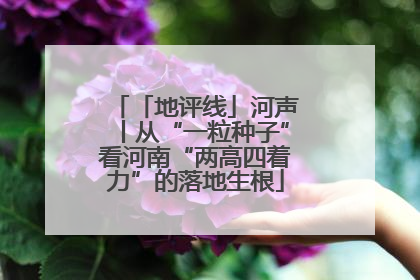 「地评线」河声丨从“一粒种子”看河南“两高四着力”的落地生根