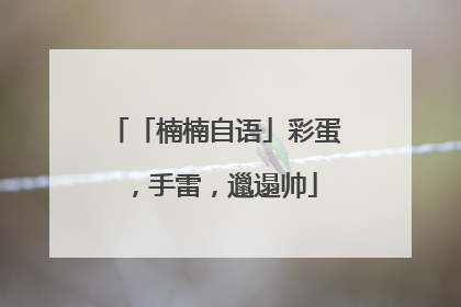 「楠楠自语」彩蛋，手雷，邋遢帅