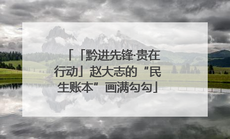 「黔进先锋·贵在行动」赵大志的“民生账本”画满勾勾