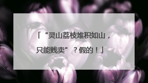 “灵山荔枝堆积如山，只能贱卖”？假的！