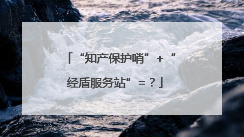 “知产保护哨”+“经盾服务站”=？