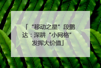 “移动之星”段鹏达：深耕“小网格” 发挥大价值