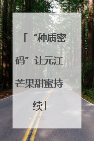 “种质密码”让元江芒果甜蜜持续