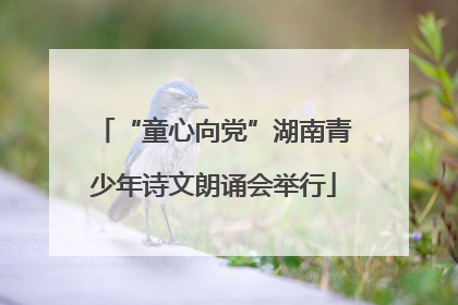 “童心向党”湖南青少年诗文朗诵会举行