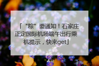 “粽”要通知！石家庄正定国际机场端午出行乘机提示，快来get