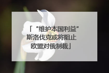“维护本国利益” 斯洛伐克或将阻止欧盟对俄制裁