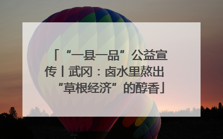“一县一品”公益宣传丨武冈：卤水里熬出“草根经济”的醇香