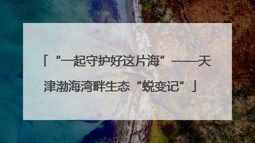 “一起守护好这片海”——天津渤海湾畔生态“蜕变记”