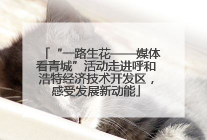 “一路生花——媒体看青城”活动走进呼和浩特经济技术开发区，感受发展新动能