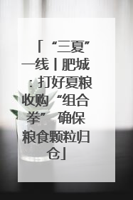 “三夏”一线丨肥城：打好夏粮收购“组合拳” 确保粮食颗粒归仓