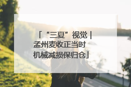 “三夏”视觉｜孟州麦收正当时 机械减损保归仓