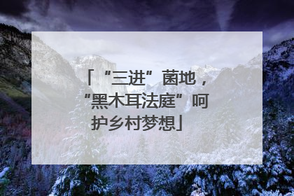 “三进”菌地，“黑木耳法庭”呵护乡村梦想