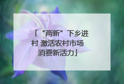 “两新”下乡进村 激活农村市场消费新活力
