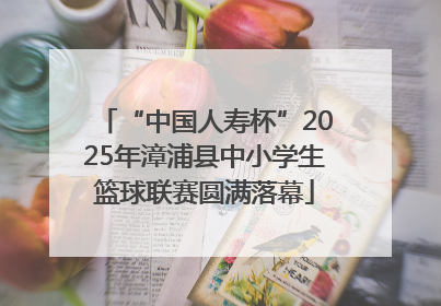 “中国人寿杯”2025年漳浦县中小学生篮球联赛圆满落幕