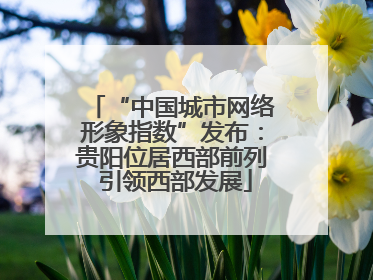 “中国城市网络形象指数”发布：贵阳位居西部前列 引领西部发展