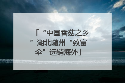 “中国香菇之乡”湖北随州“致富伞”远销海外
