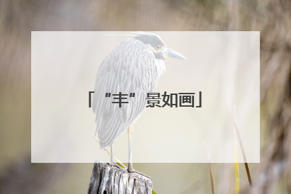 “丰”景如画