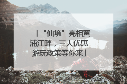 “仙境”亮相黄浦江畔，三大优惠游玩政策等你来