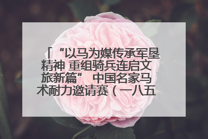 “以马为媒传承军垦精神 重组骑兵连启文旅新篇” 中国名家马术耐力邀请赛（一八五团站）暨重启骑兵连活动正式启动