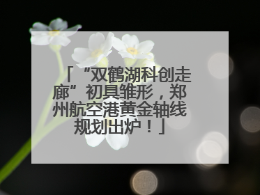 “双鹤湖科创走廊”初具雏形，郑州航空港黄金轴线规划出炉！