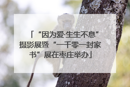 “因为爱·生生不息”摄影展暨“一千零一封家书”展在枣庄举办