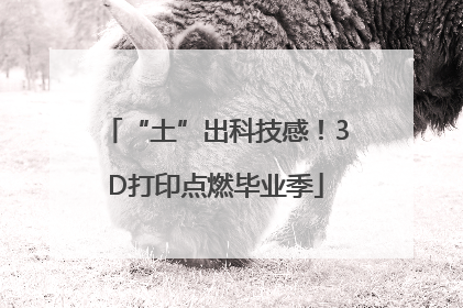 “土”出科技感！3D打印点燃毕业季
