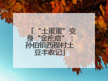 “土蛋蛋”变身“金疙瘩”：孙伯镇西程村土豆丰收记