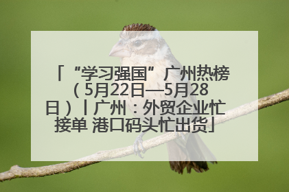 “学习强国”广州热榜（5月22日—5月28日）丨广州：外贸企业忙接单 港口码头忙出货