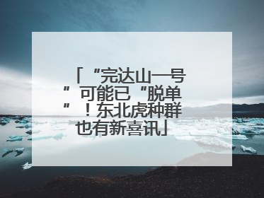“完达山一号”可能已“脱单”！东北虎种群也有新喜讯