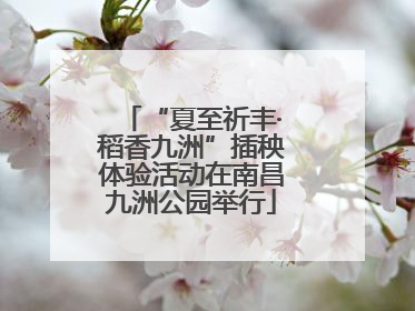 “夏至祈丰·稻香九洲”插秧体验活动在南昌九洲公园举行