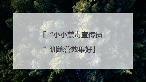 “小小禁毒宣传员”训练营效果好