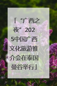 “广西之夜”2025中国广西文化旅游推介会在泰国曼谷举行