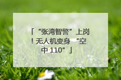 “张湾智警”上岗！无人机变身 “空中 110”