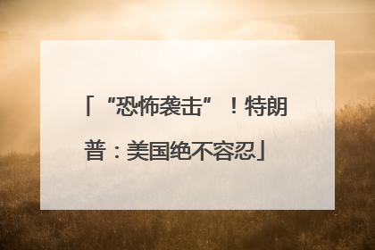 “恐怖袭击”！特朗普：美国绝不容忍
