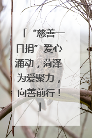“慈善一日捐”爱心涌动，菏泽为爱聚力，向善前行！