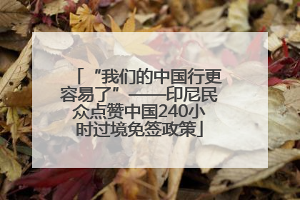 “我们的中国行更容易了”——印尼民众点赞中国240小时过境免签政策