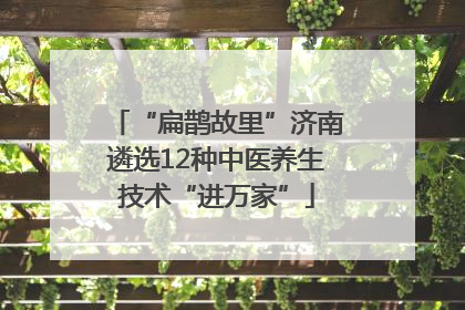 “扁鹊故里”济南遴选12种中医养生技术“进万家”