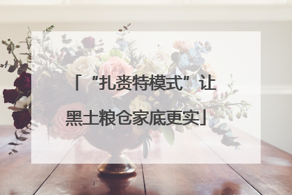 “扎赉特模式”让黑土粮仓家底更实