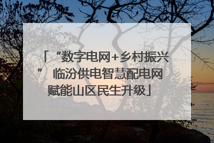“数字电网+乡村振兴” 临汾供电智慧配电网赋能山区民生升级