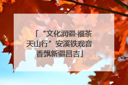 “文化润疆·福茶天山行”安溪铁观音香飘新疆昌吉