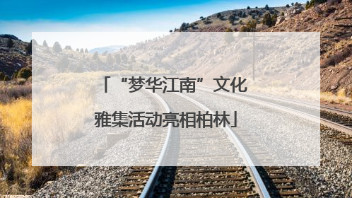 “梦华江南”文化雅集活动亮相柏林