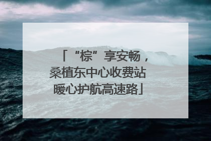 “棕”享安畅，桑植东中心收费站暖心护航高速路