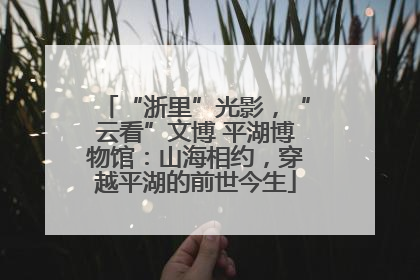 “浙里”光影，“云看”文博 平湖博物馆：山海相约，穿越平湖的前世今生