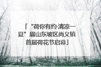 “荷你有约·清凉一夏”眉山东坡区尚义镇首届荷花节启幕