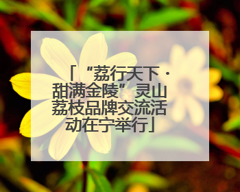 “荔行天下・甜满金陵”灵山荔枝品牌交流活动在宁举行