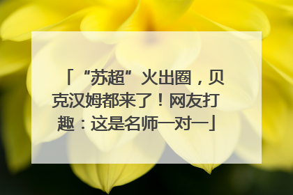 “苏超”火出圈，贝克汉姆都来了！网友打趣：这是名师一对一