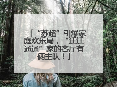 “苏超”引爆家庭欢乐局，“迁迁通通”家的客厅有俩主队！