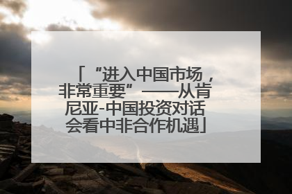 “进入中国市场，非常重要”——从肯尼亚-中国投资对话会看中非合作机遇